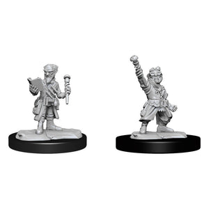 Dungeons & Dragons - Gnome Artificer Male