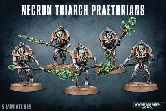 Necrons Triarch Praetorians / Lychguard