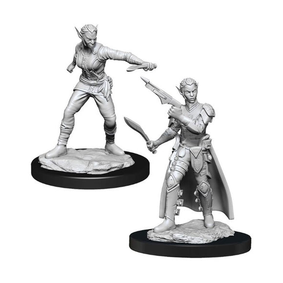 Dungeons & Dragons - Shifter Rogue Female